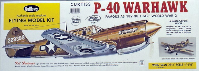 P - 40 Warhawk (405) 711mm