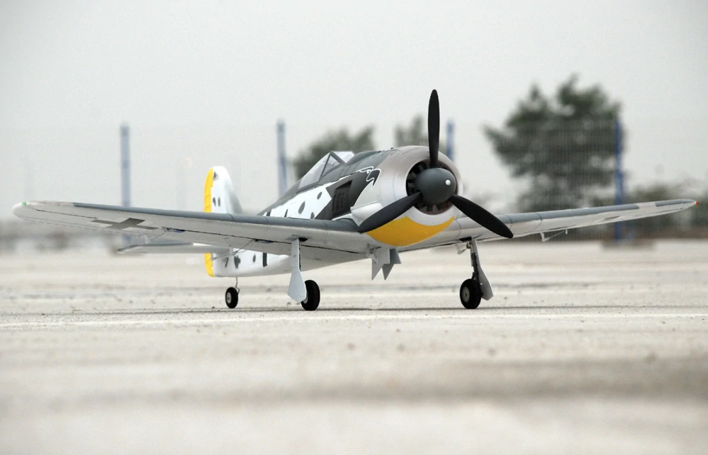 Focke Wulf FW190 PNP 1200mm